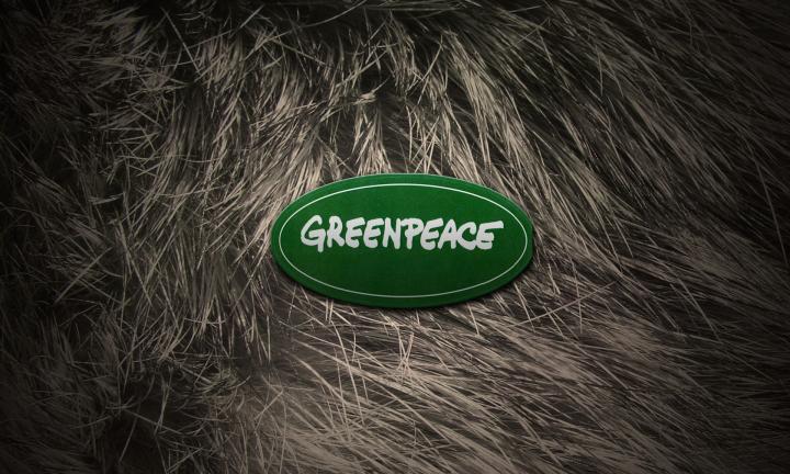 Омские волонтёры Greenpeace создали карту экологичного потребления