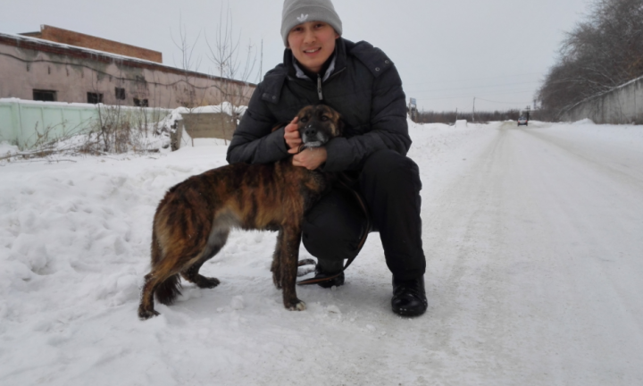 Омский волонтёр и создатель «Экофонда Добра» Асхат Рахимов просит омичей помочь приюту «Друг»