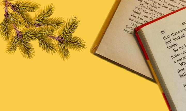 Книгоfeel. 5 книг для новогоднего настроения