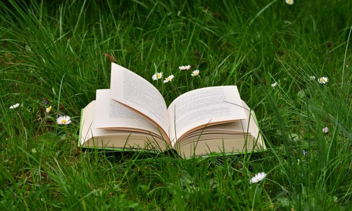 Наслаждаемся чтением на свежем воздухе: библиотеки открывают читальные залы под открытым небом