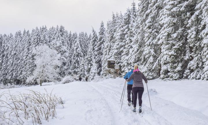 Спортивный досуг: варианты лыжных прогулок для всей семьи
