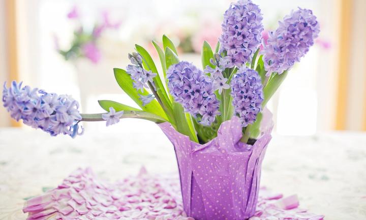 Цветы для бабушек: благотворительная акция в честь 8 марта