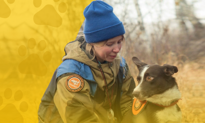 «Пес ищет людей, потому что их любит»: история волонтёра «Лизы Аллерт» и  трёх её собак