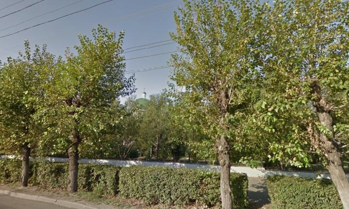Оксана Фадина наложила вето на решение о сносе деревьев на проспекте Карла Маркса