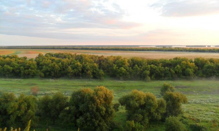 Просторы Омской области: где можно приятно и спокойно отдохнуть семьёй 