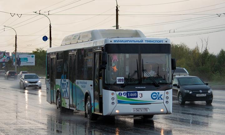 Разработчик приложения для омского общественного транспорта: «Пассажиры смогут видеть даже количество свободных мест»
